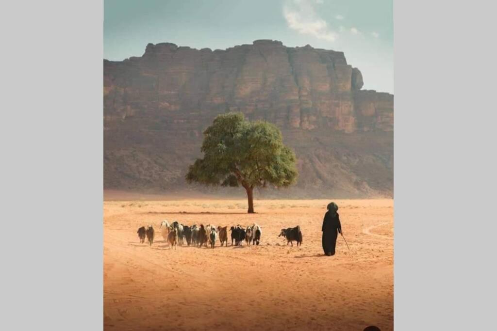 Bedouin Nature Travels Ουάντι Μούσα Εξωτερικό φωτογραφία