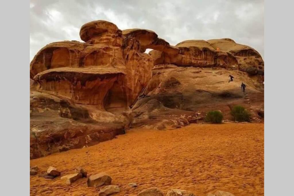 Bedouin Nature Travels Ουάντι Μούσα Εξωτερικό φωτογραφία