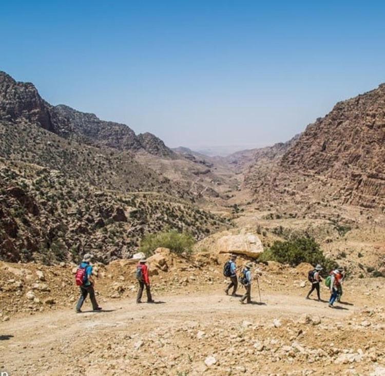 Bedouin Nature Travels Ουάντι Μούσα Εξωτερικό φωτογραφία