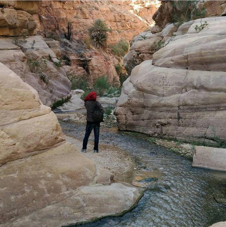 Bedouin Nature Travels Ουάντι Μούσα Εξωτερικό φωτογραφία