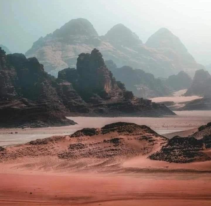 Bedouin Nature Travels Ουάντι Μούσα Εξωτερικό φωτογραφία