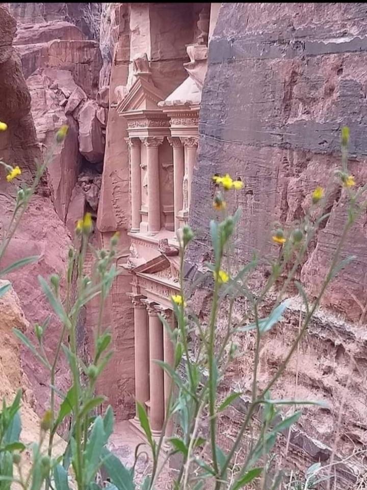 Bedouin Nature Travels Ουάντι Μούσα Εξωτερικό φωτογραφία