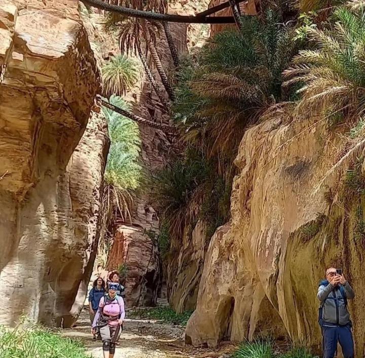 Bedouin Nature Travels Ουάντι Μούσα Εξωτερικό φωτογραφία
